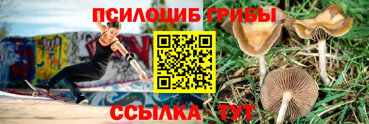 Галлюциногенные грибы мицелий Саяногорск